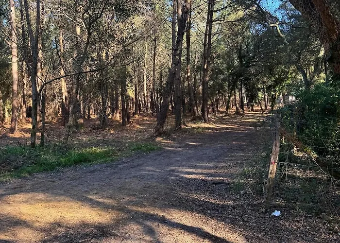 Апартаменты L'eclat Terrasse - Piscine - Tennis